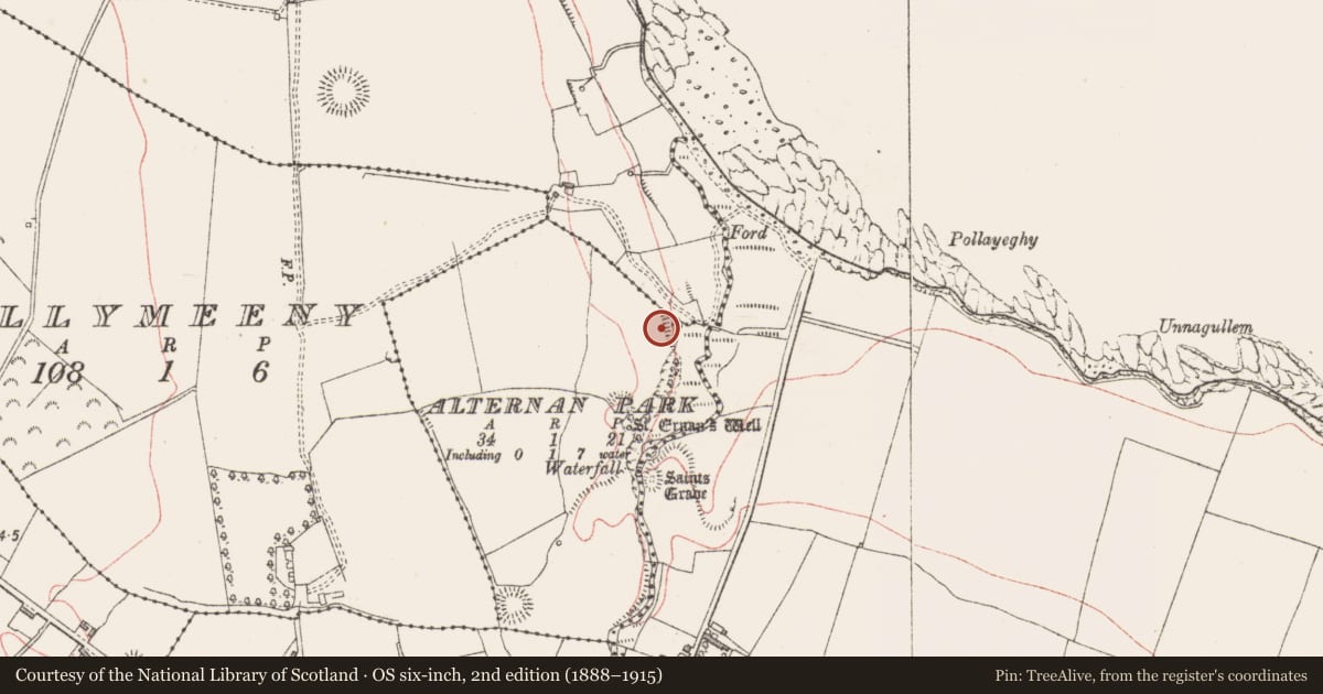 Ordnance Survey six-inch map, 2nd edition (1888–1915) covering the location of Enclosure, Alternan Park, County Sligo, with a pin at the register's coordinates