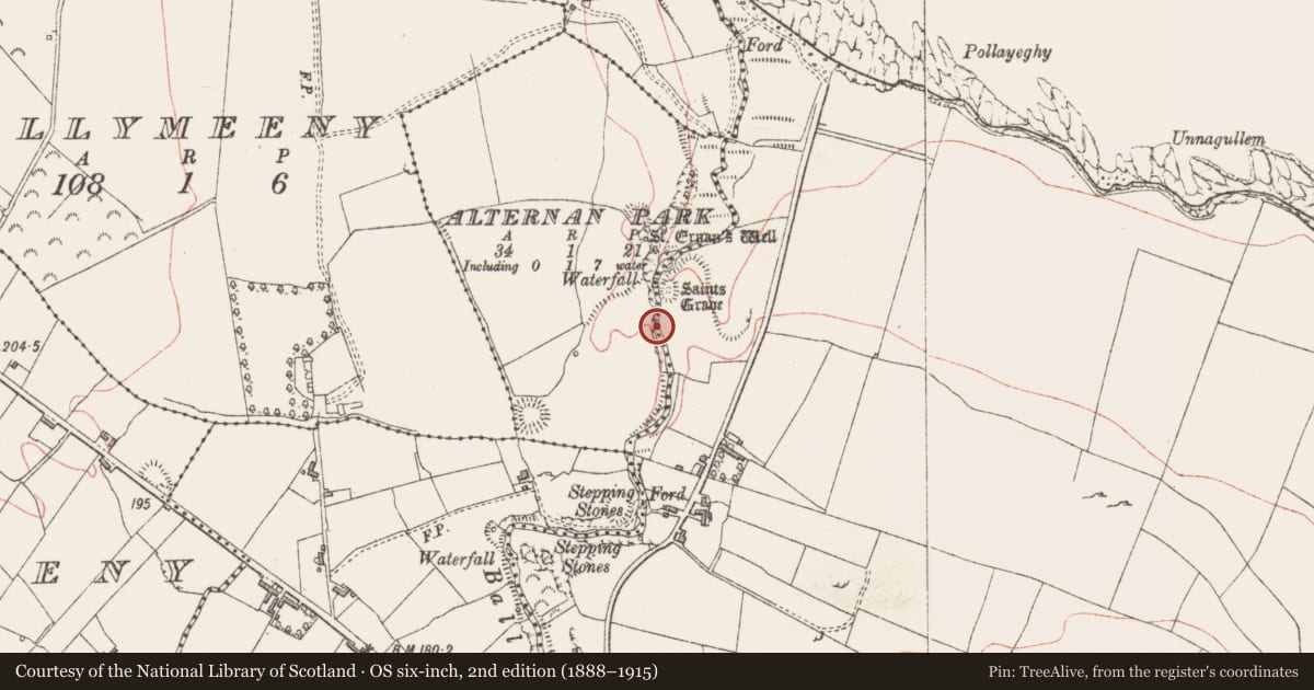 Ordnance Survey six-inch map, 2nd edition (1888–1915) covering the location of Hut site, Alternan Park, County Sligo, with a pin at the register's coordinates