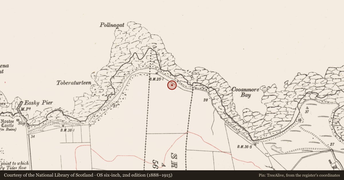 Ordnance Survey six-inch map, 2nd edition (1888–1915) covering the location of Midden, Sraheens, County Sligo, with a pin at the register's coordinates