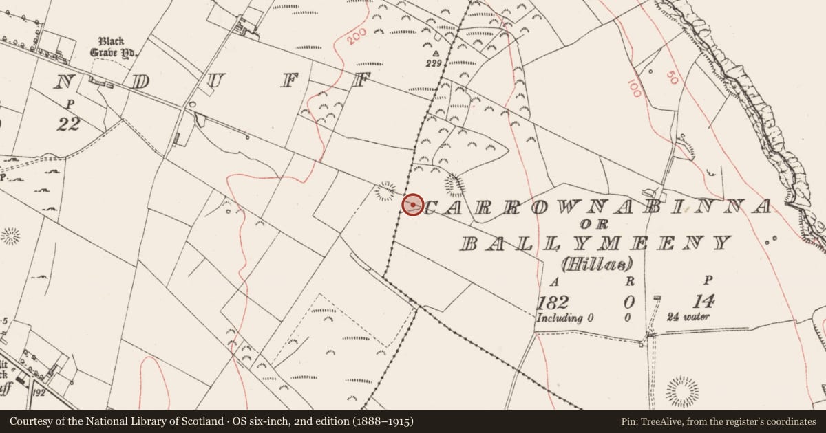 Ordnance Survey six-inch map, 2nd edition (1888–1915) covering the location of Field system, Carrownabinna Or Ballymeeny (Hillas), County Sligo, with a pin at the register's coordinates