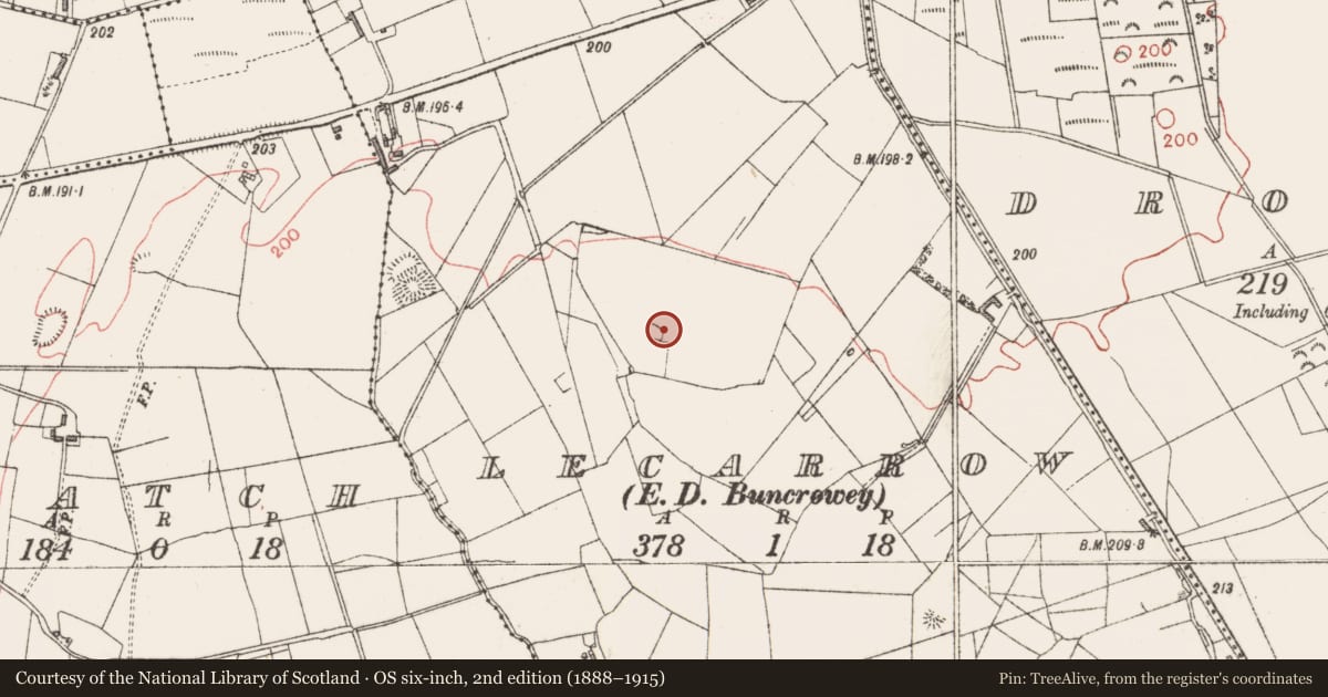 Ordnance Survey six-inch map, 2nd edition (1888–1915) covering the location of Hut site, Lecarrow, County Sligo, with a pin at the register's coordinates
