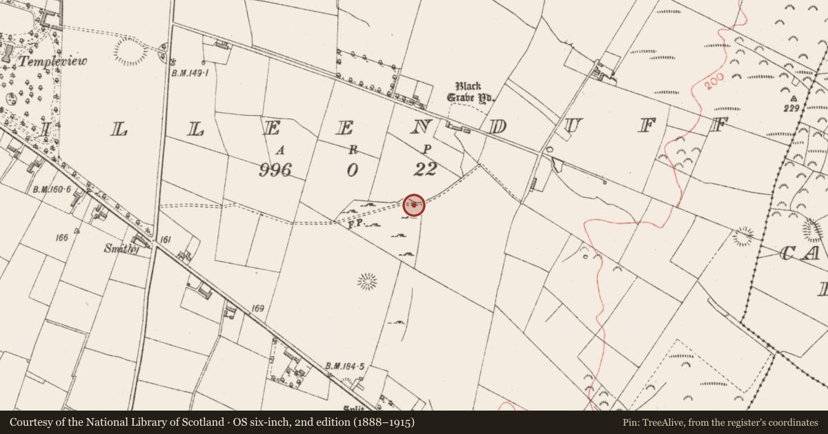 Ordnance Survey six-inch map, 2nd edition (1888–1915) covering the location of Ringfort - rath, Killeenduff, County Sligo, with a pin at the register's coordinates