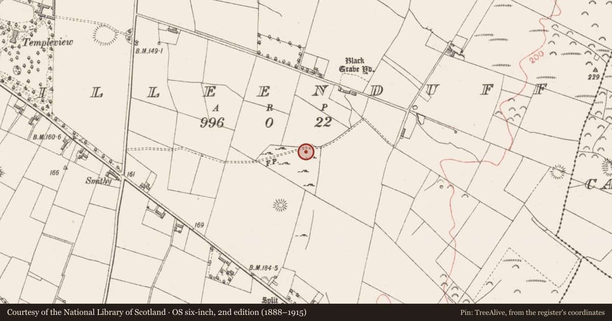 Ordnance Survey six-inch map, 2nd edition (1888–1915) covering the location of Field boundary, Killeenduff, County Sligo, with a pin at the register's coordinates