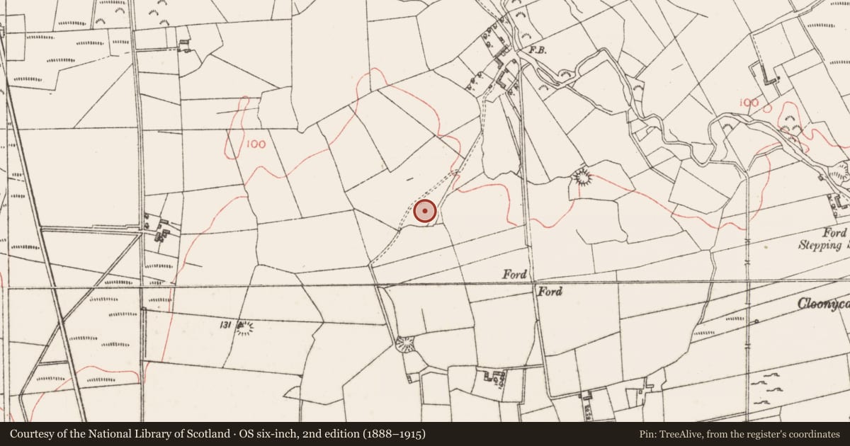 Ordnance Survey six-inch map, 2nd edition (1888–1915) covering the location of Enclosure, Leaffony, County Sligo, with a pin at the register's coordinates