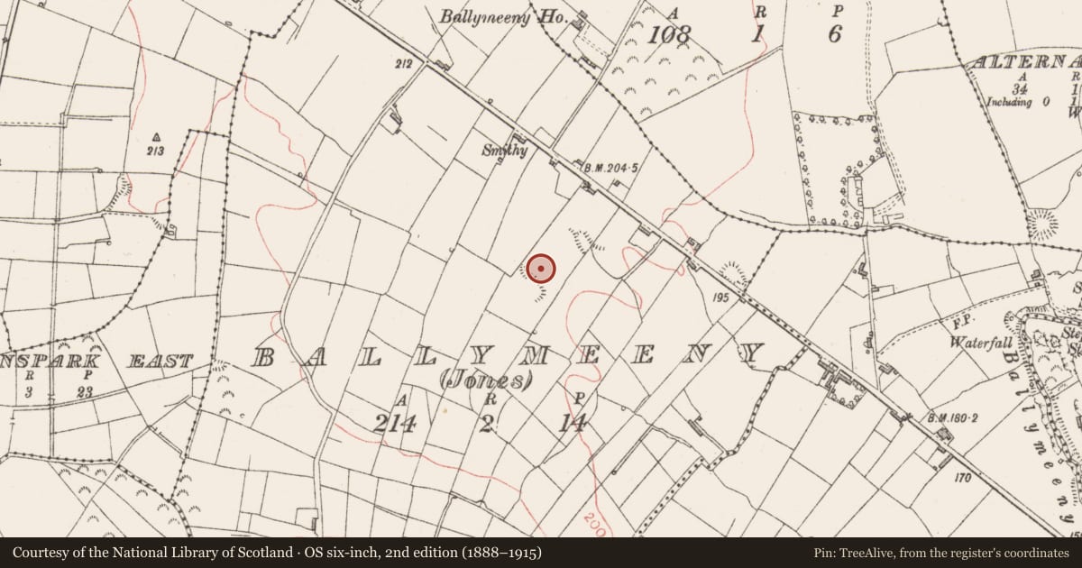 Ordnance Survey six-inch map, 2nd edition (1888–1915) covering the location of Hut site, Ballymeeny (Jones), County Sligo, with a pin at the register's coordinates