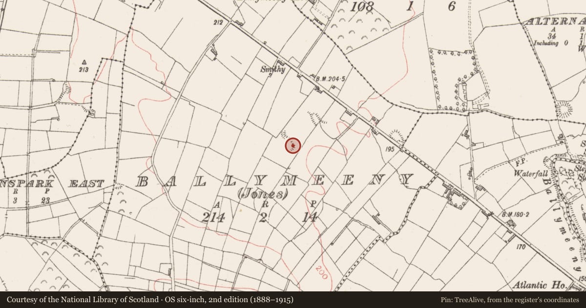 Ordnance Survey six-inch map, 2nd edition (1888–1915) covering the location of Enclosure, Ballymeeny (Jones), County Sligo, with a pin at the register's coordinates
