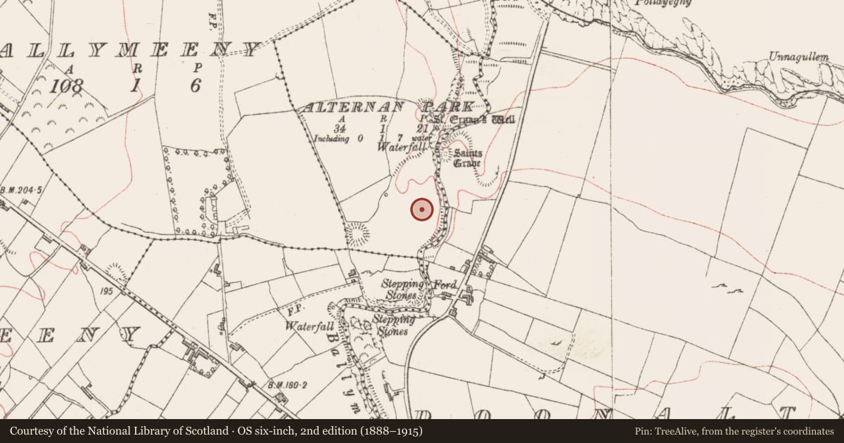 Ordnance Survey six-inch map, 2nd edition (1888–1915) covering the location of Field system, Alternan Park, County Sligo, with a pin at the register's coordinates
