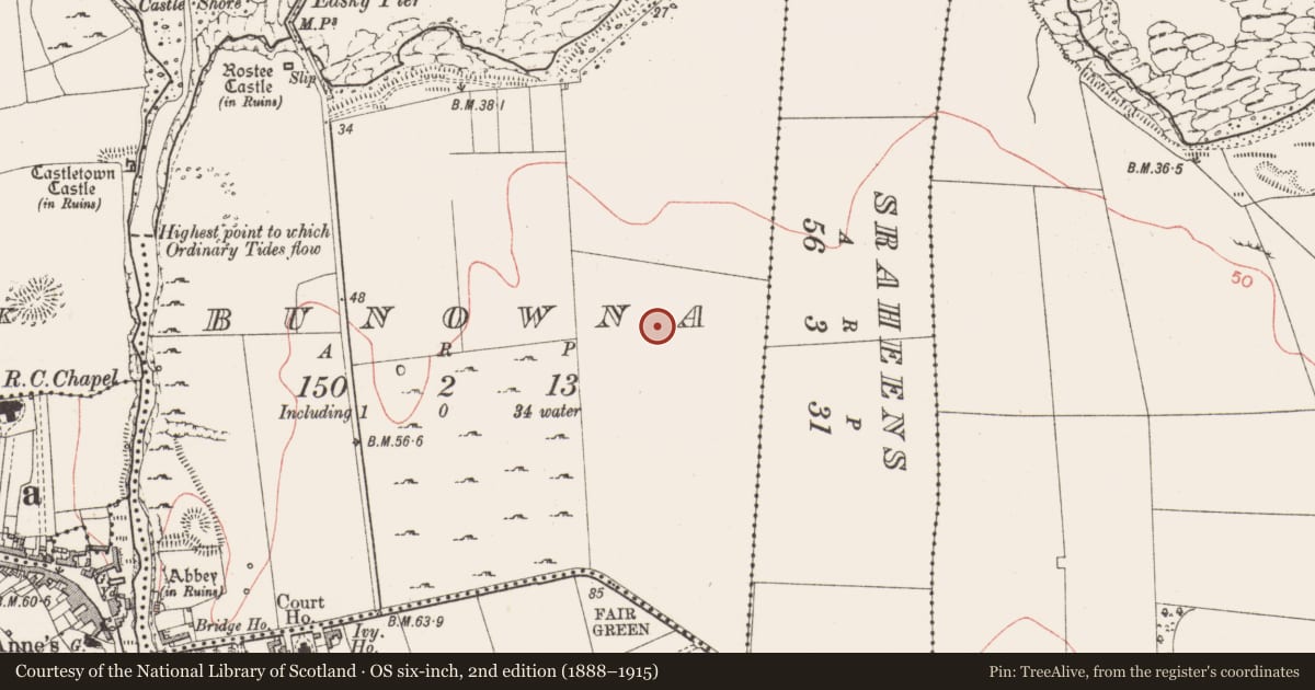 Ordnance Survey six-inch map, 2nd edition (1888–1915) covering the location of Enclosure, Bunowna, County Sligo, with a pin at the register's coordinates