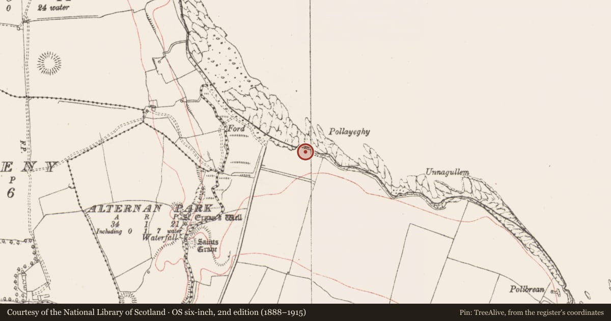 Ordnance Survey six-inch map, 2nd edition (1888–1915) covering the location of Promontory fort - coastal, Doonaltan, County Sligo, with a pin at the register's coordinates