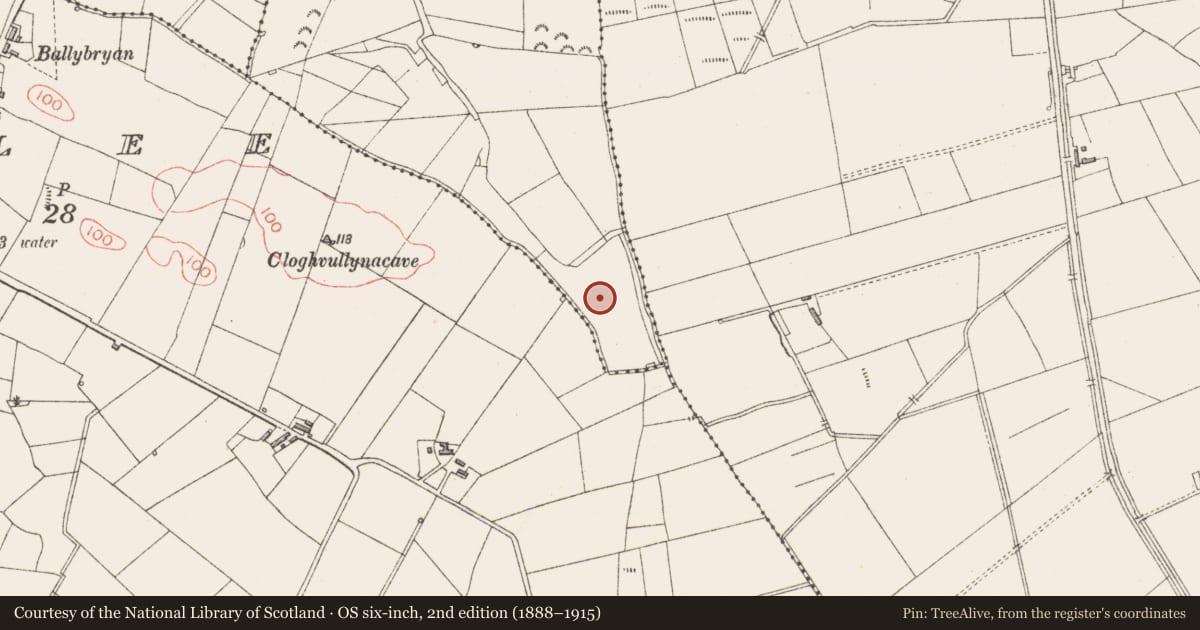 Ordnance Survey six-inch map, 2nd edition (1888–1915) covering the location of Fulacht fia, Carrowpadeen, County Sligo, with a pin at the register's coordinates