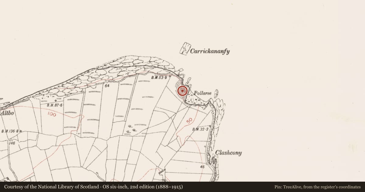 Ordnance Survey six-inch map, 2nd edition (1888–1915) covering the location of Cliff-edge fort, Aughris, County Sligo, with a pin at the register's coordinates