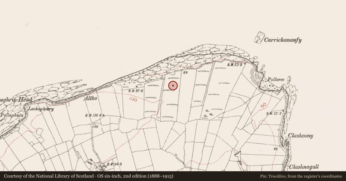 Ordnance Survey six-inch map, 2nd edition (1888–1915) covering the location of Seaweed stand, Aughris, County Sligo, with a pin at the register's coordinates