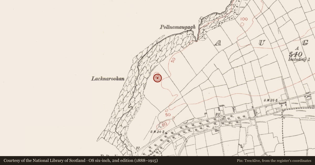Ordnance Survey six-inch map, 2nd edition (1888–1915) covering the location of Mound, Aughris, County Sligo, with a pin at the register's coordinates