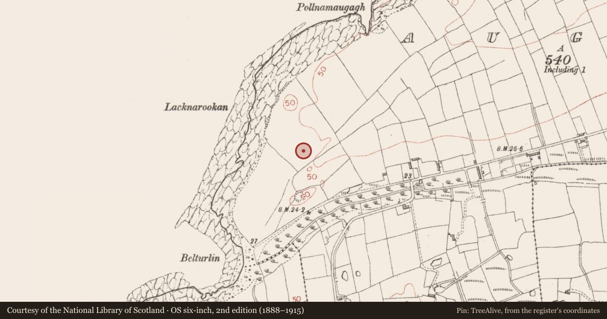 Ordnance Survey six-inch map, 2nd edition (1888–1915) covering the location of Enclosure, Aughris, County Sligo, with a pin at the register's coordinates