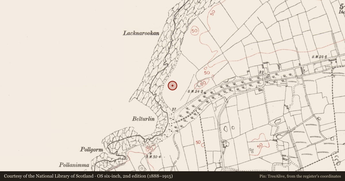 Ordnance Survey six-inch map, 2nd edition (1888–1915) covering the location of Enclosure, Aughris, County Sligo, with a pin at the register's coordinates