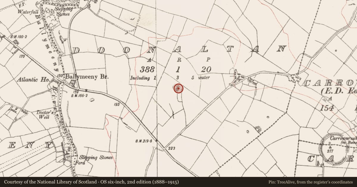 Ordnance Survey six-inch map, 2nd edition (1888–1915) covering the location of Ringfort - rath, Doonaltan, County Sligo, with a pin at the register's coordinates