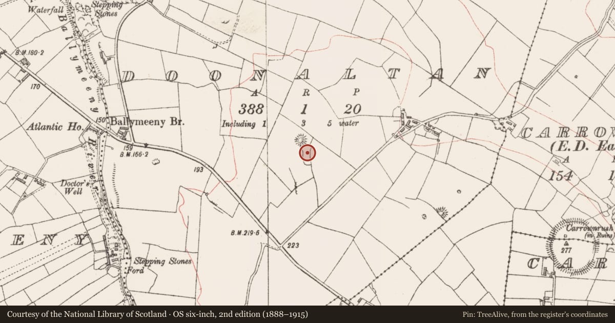 Ordnance Survey six-inch map, 2nd edition (1888–1915) covering the location of Field system, Doonaltan, County Sligo, with a pin at the register's coordinates