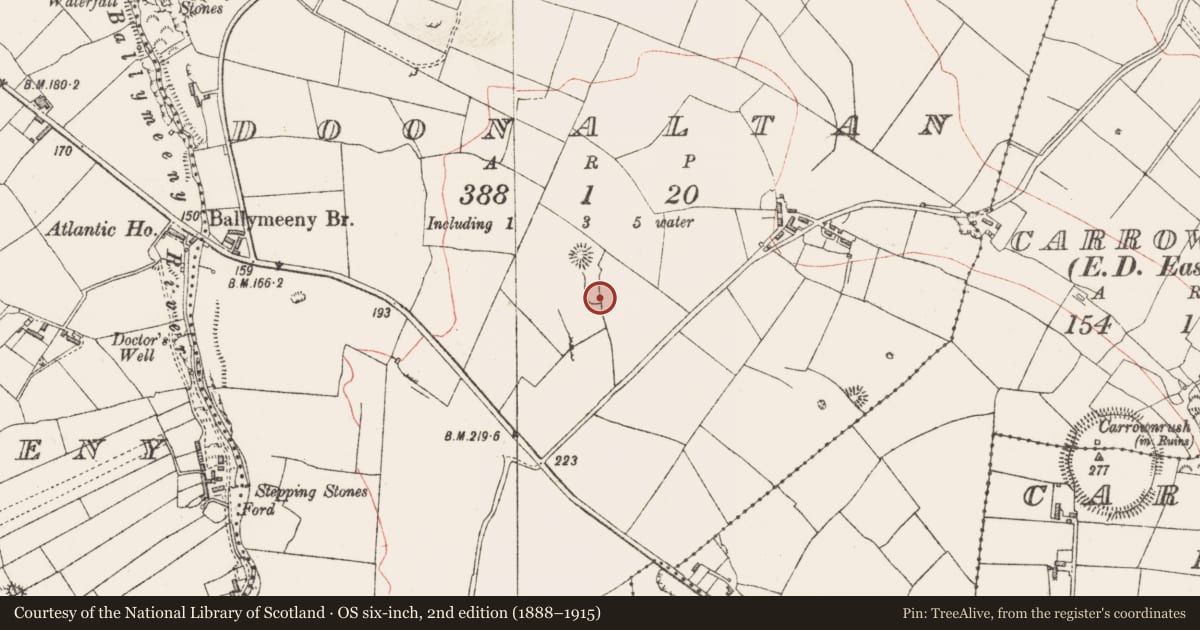 Ordnance Survey six-inch map, 2nd edition (1888–1915) covering the location of Hut site, Doonaltan, County Sligo, with a pin at the register's coordinates