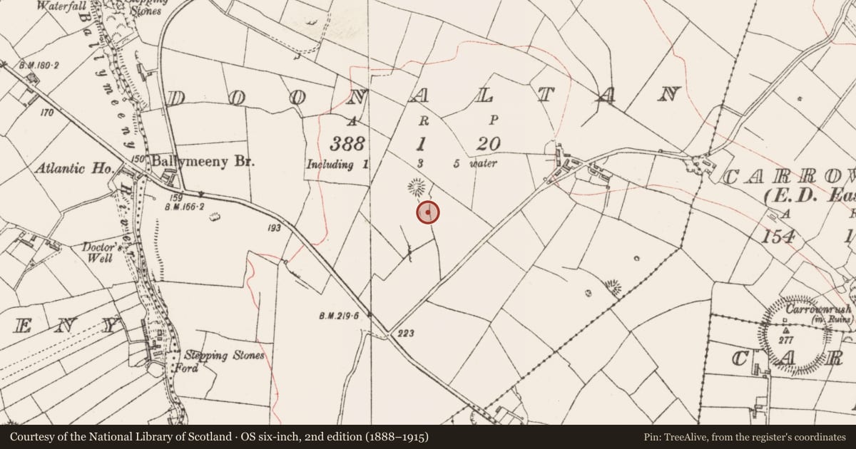 Ordnance Survey six-inch map, 2nd edition (1888–1915) covering the location of Hut site, Doonaltan, County Sligo, with a pin at the register's coordinates