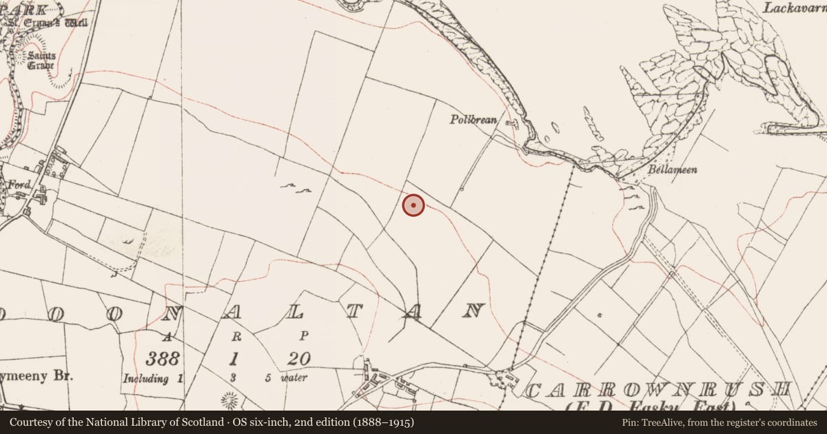 Ordnance Survey six-inch map, 2nd edition (1888–1915) covering the location of Earthwork, Doonaltan, County Sligo, with a pin at the register's coordinates