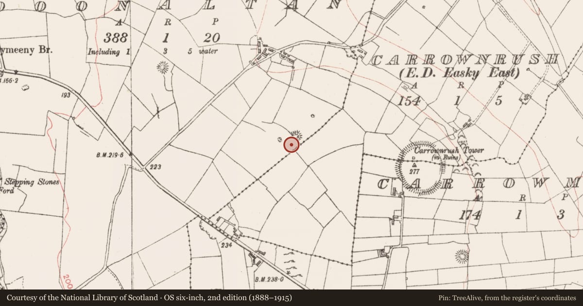 Ordnance Survey six-inch map, 2nd edition (1888–1915) covering the location of Barrow - ring-barrow, Doonaltan, County Sligo, with a pin at the register's coordinates