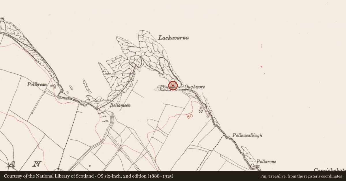 Ordnance Survey six-inch map, 2nd edition (1888–1915) covering the location of Promontory fort - coastal, Carrownrush, County Sligo, with a pin at the register's coordinates