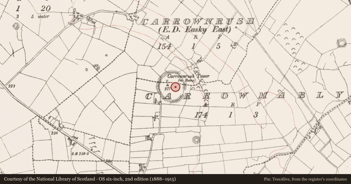 Ordnance Survey six-inch map, 2nd edition (1888–1915) covering the location of Enclosure, Carrownrush, Carrowmably, County Sligo, with a pin at the register's coordinates