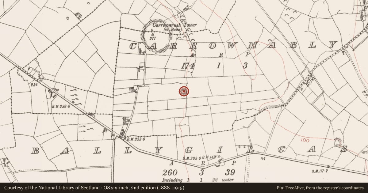 Ordnance Survey six-inch map, 2nd edition (1888–1915) covering the location of Souterrain, Carrowmably, County Sligo, with a pin at the register's coordinates