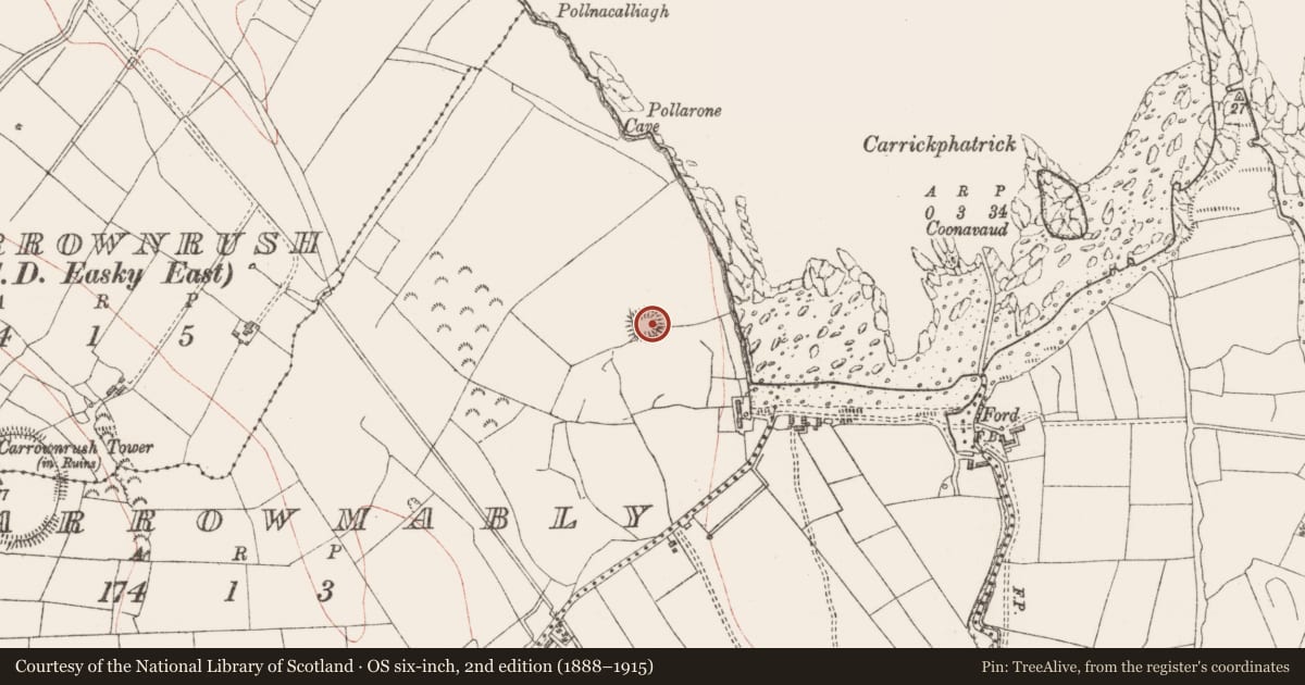 Ordnance Survey six-inch map, 2nd edition (1888–1915) covering the location of Ringfort - rath, Carrowmably, County Sligo, with a pin at the register's coordinates