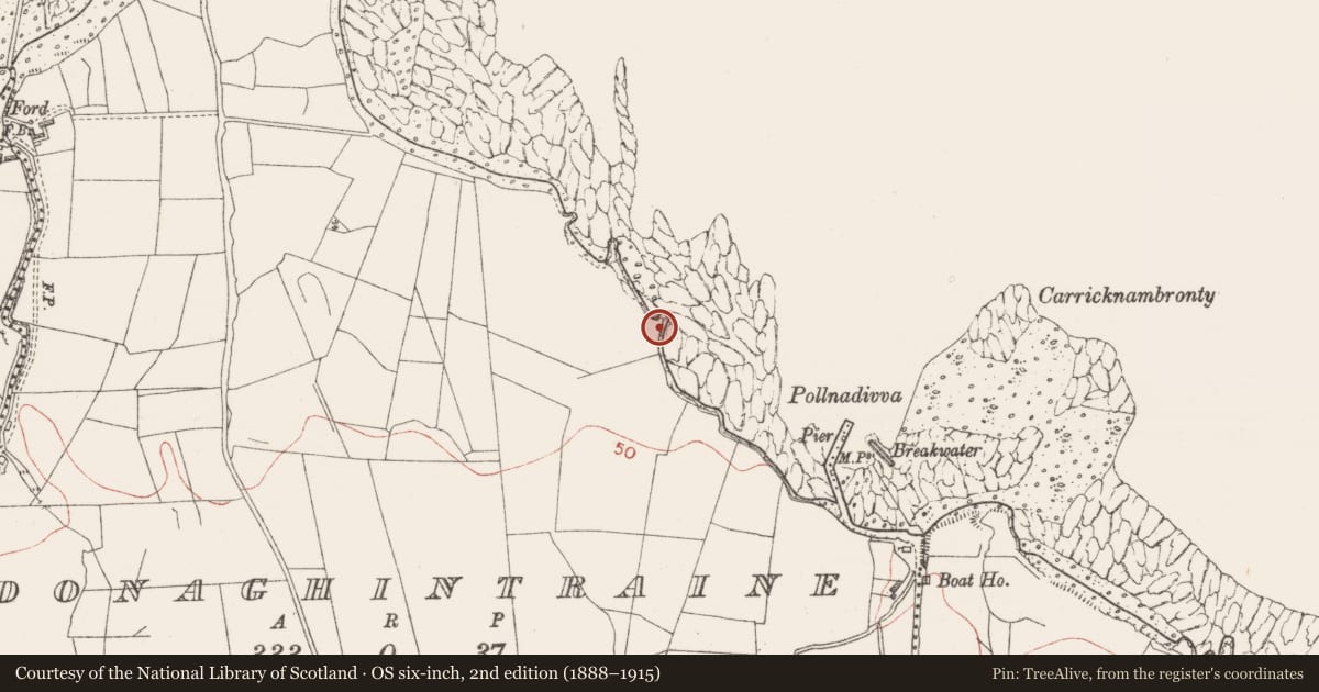 Ordnance Survey six-inch map, 2nd edition (1888–1915) covering the location of Cliff-edge fort, Donaghintraine, County Sligo, with a pin at the register's coordinates