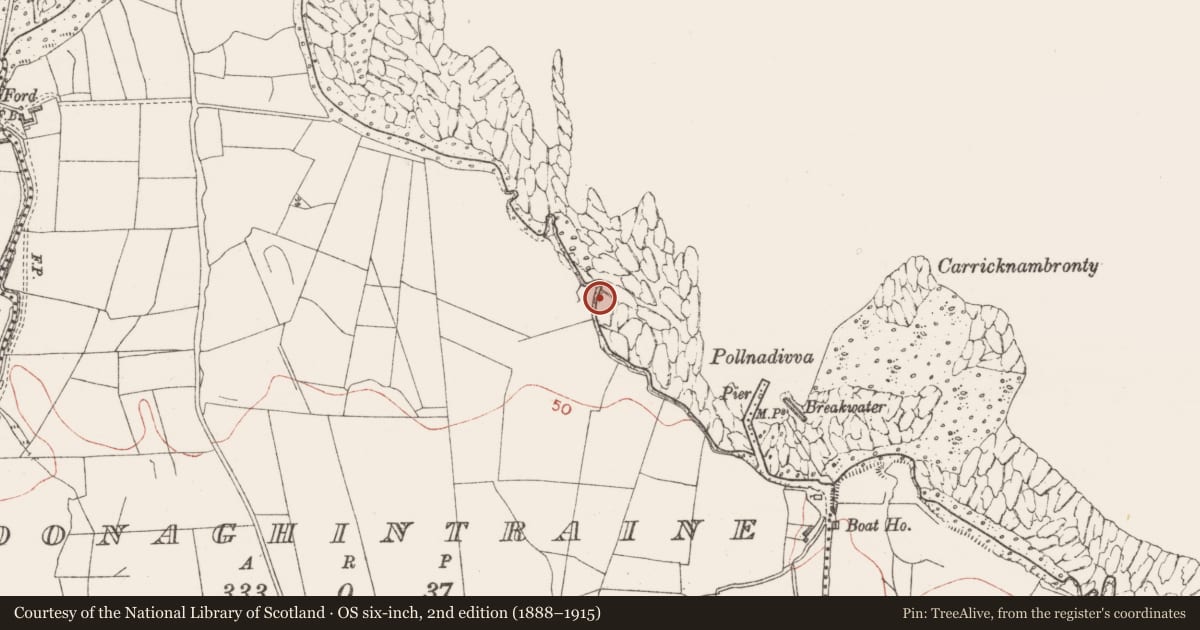 Ordnance Survey six-inch map, 2nd edition (1888–1915) covering the location of House - indeterminate date, Donaghintraine, County Sligo, with a pin at the register's coordinates