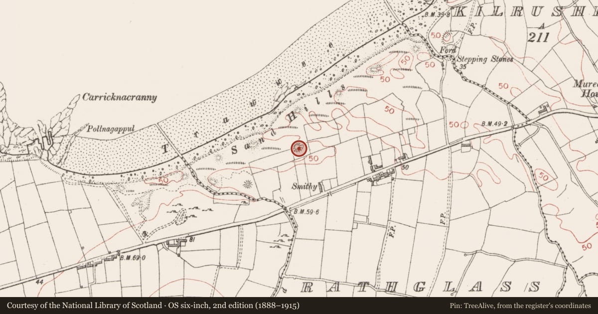 Ordnance Survey six-inch map, 2nd edition (1888–1915) covering the location of Cairn - unclassified, Rathglass, County Sligo, with a pin at the register's coordinates
