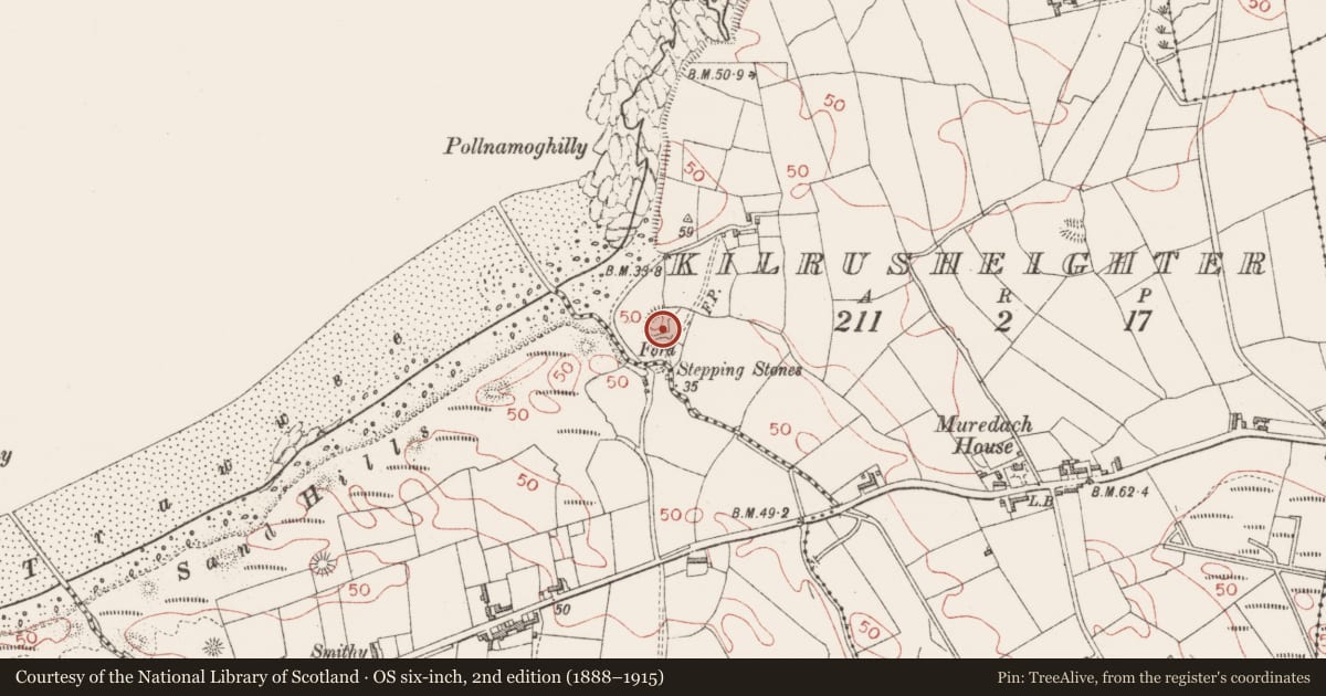 Ordnance Survey six-inch map, 2nd edition (1888–1915) covering the location of Ringfort - rath, Kilrusheighter, County Sligo, with a pin at the register's coordinates