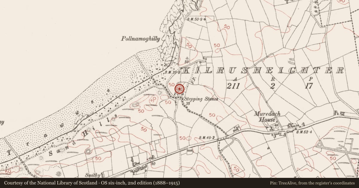 Ordnance Survey six-inch map, 2nd edition (1888–1915) covering the location of Hut site, Kilrusheighter, County Sligo, with a pin at the register's coordinates