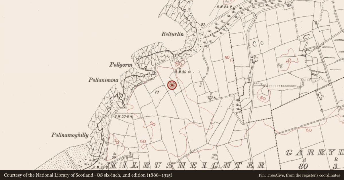 Ordnance Survey six-inch map, 2nd edition (1888–1915) covering the location of Barrow - stepped barrow, Kilrusheighter, County Sligo, with a pin at the register's coordinates