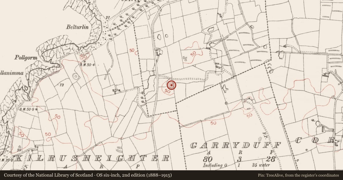 Ordnance Survey six-inch map, 2nd edition (1888–1915) covering the location of Ringfort - rath, Aughris, County Sligo, with a pin at the register's coordinates