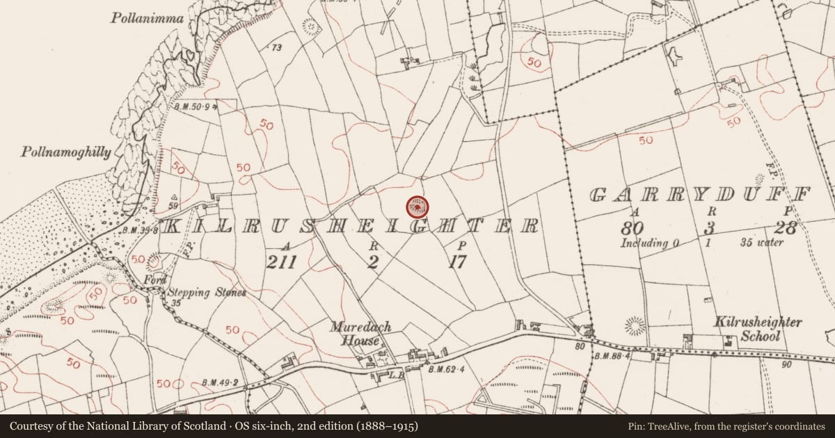 Ordnance Survey six-inch map, 2nd edition (1888–1915) covering the location of Enclosure, Kilrusheighter, County Sligo, with a pin at the register's coordinates