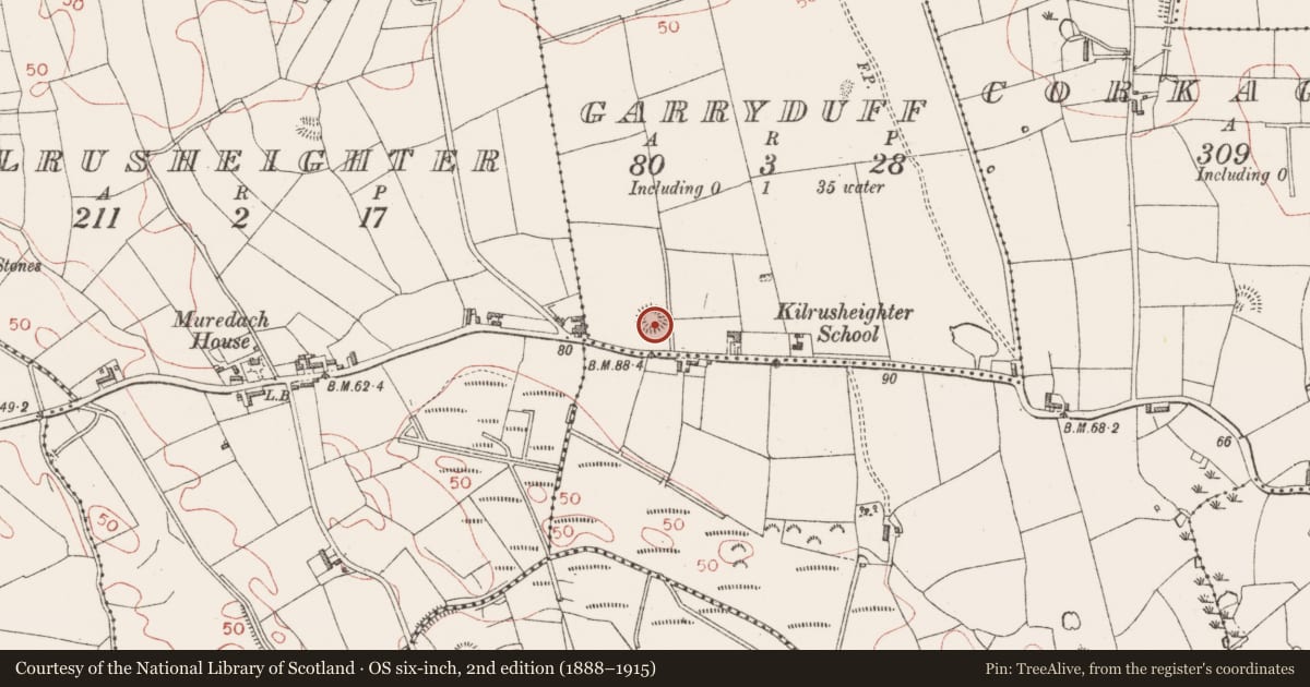 Ordnance Survey six-inch map, 2nd edition (1888–1915) covering the location of Ringfort - rath, Garryduff, County Sligo, with a pin at the register's coordinates