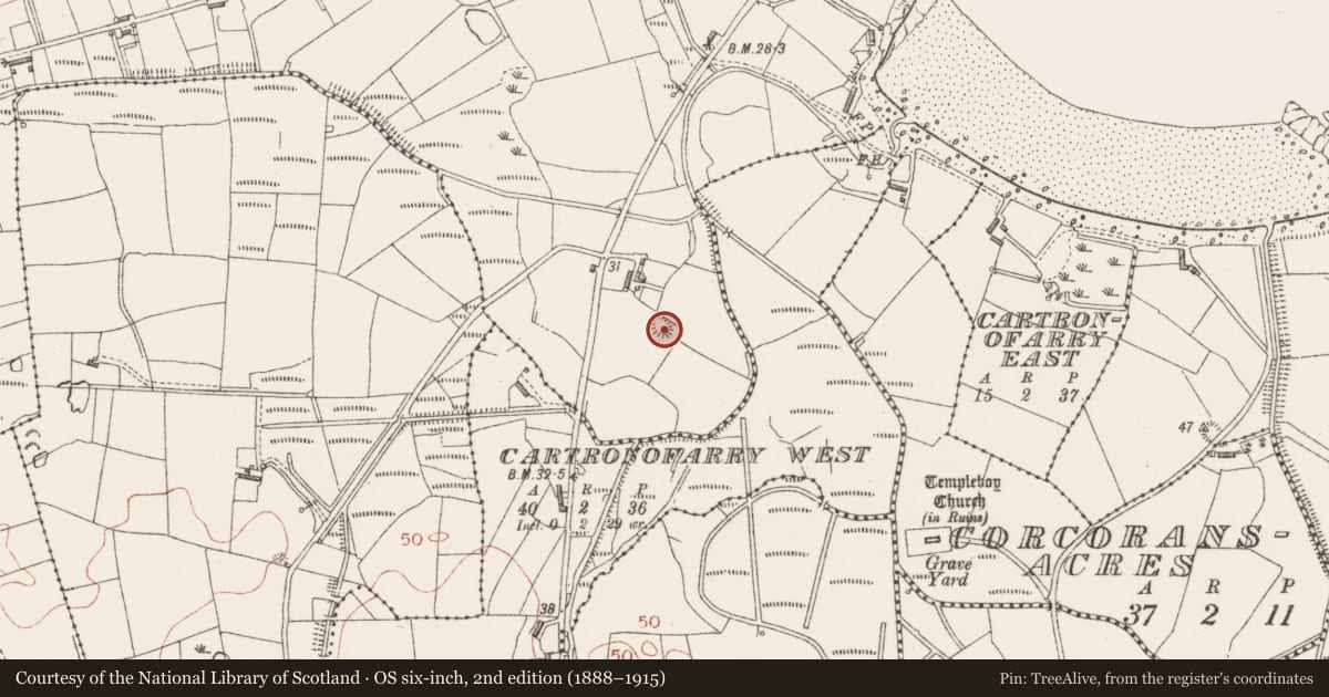 Ordnance Survey six-inch map, 2nd edition (1888–1915) covering the location of Ringfort - rath, Aughris, County Sligo, with a pin at the register's coordinates