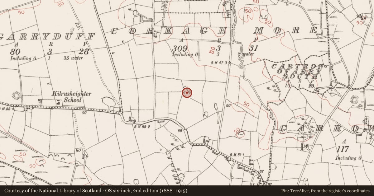 Ordnance Survey six-inch map, 2nd edition (1888–1915) covering the location of Ringfort - rath, Corkagh More, County Sligo, with a pin at the register's coordinates