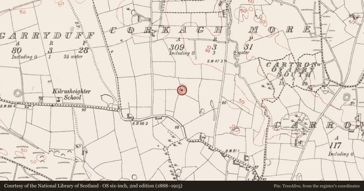 Ordnance Survey six-inch map, 2nd edition (1888–1915) covering the location of Souterrain, Corkagh More, County Sligo, with a pin at the register's coordinates