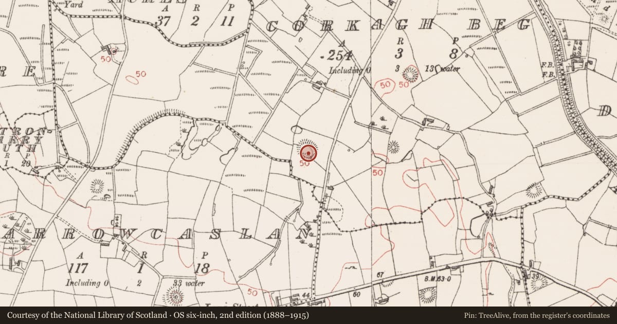 Ordnance Survey six-inch map, 2nd edition (1888–1915) covering the location of Ringfort - rath, Corkagh Beg, County Sligo, with a pin at the register's coordinates