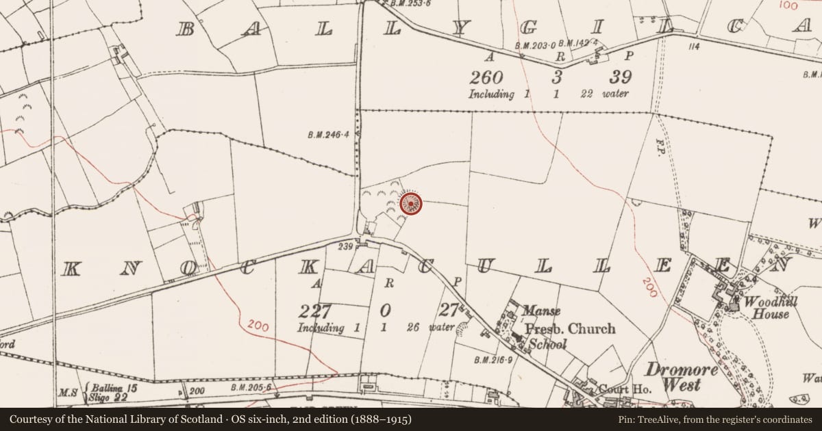 Ordnance Survey six-inch map, 2nd edition (1888–1915) covering the location of Ringfort - rath, Knockaculleen, County Sligo, with a pin at the register's coordinates