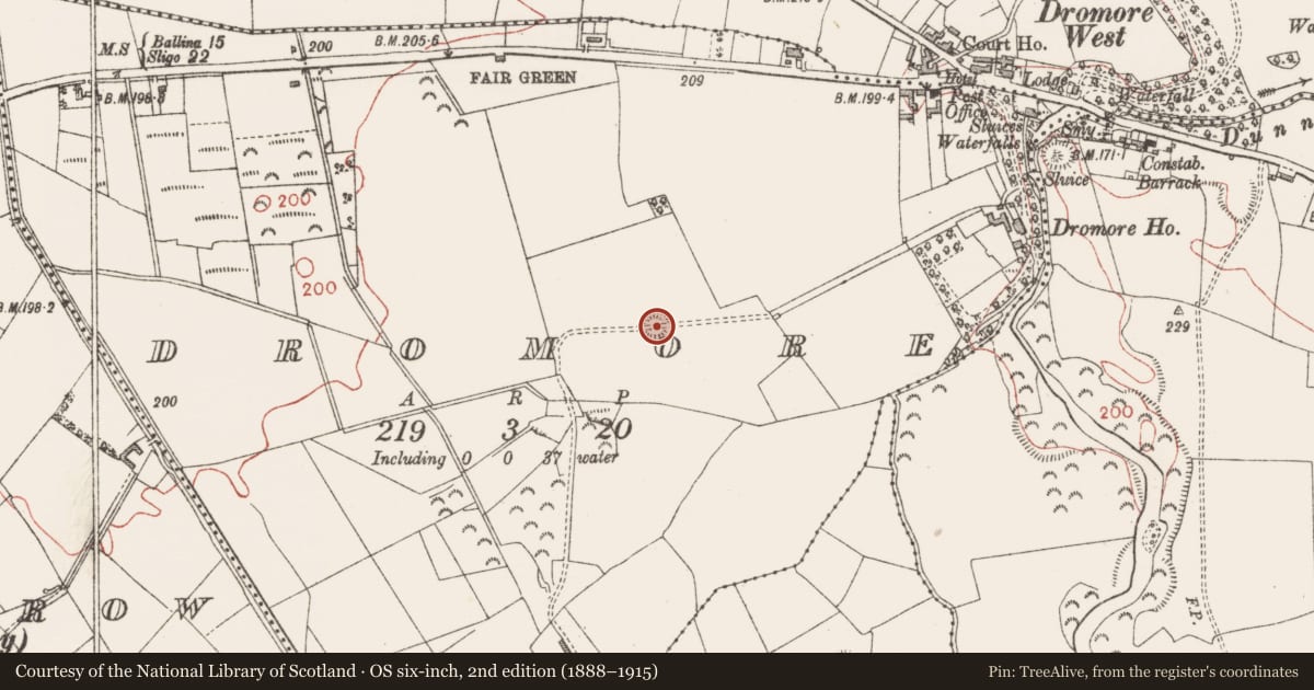 Ordnance Survey six-inch map, 2nd edition (1888–1915) covering the location of Ringfort - unclassified, Dromore, County Sligo, with a pin at the register's coordinates