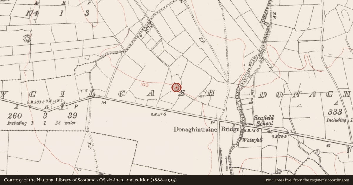 Ordnance Survey six-inch map, 2nd edition (1888–1915) covering the location of Ringfort - rath, Ballygilcash, County Sligo, with a pin at the register's coordinates