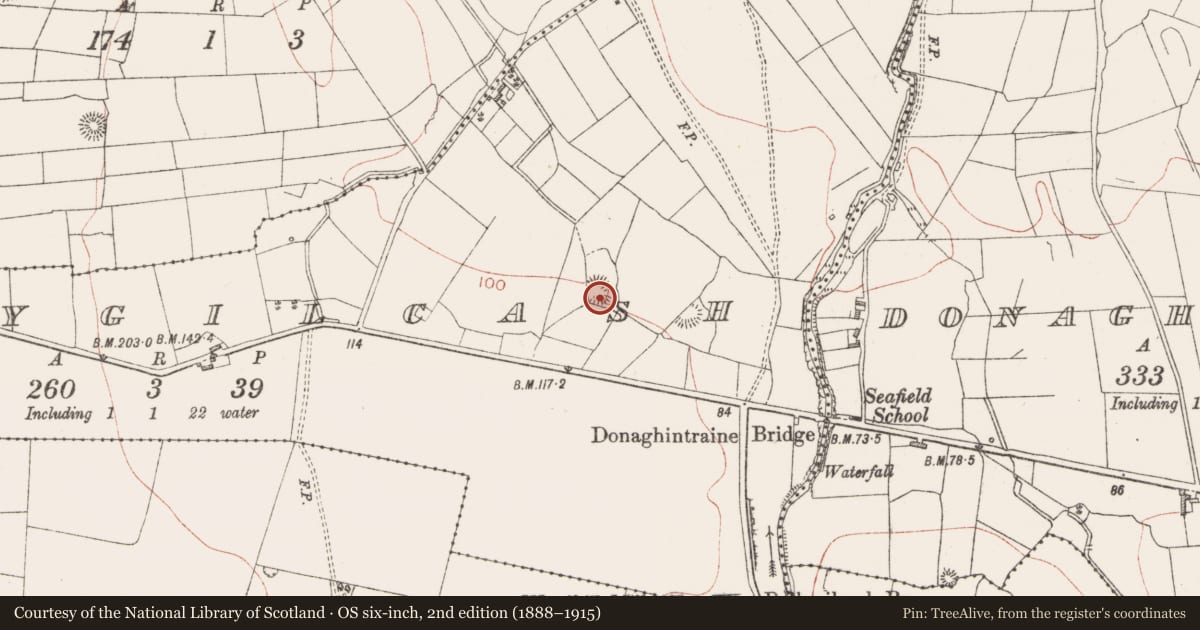 Ordnance Survey six-inch map, 2nd edition (1888–1915) covering the location of House - indeterminate date, Ballygilcash, County Sligo, with a pin at the register's coordinates