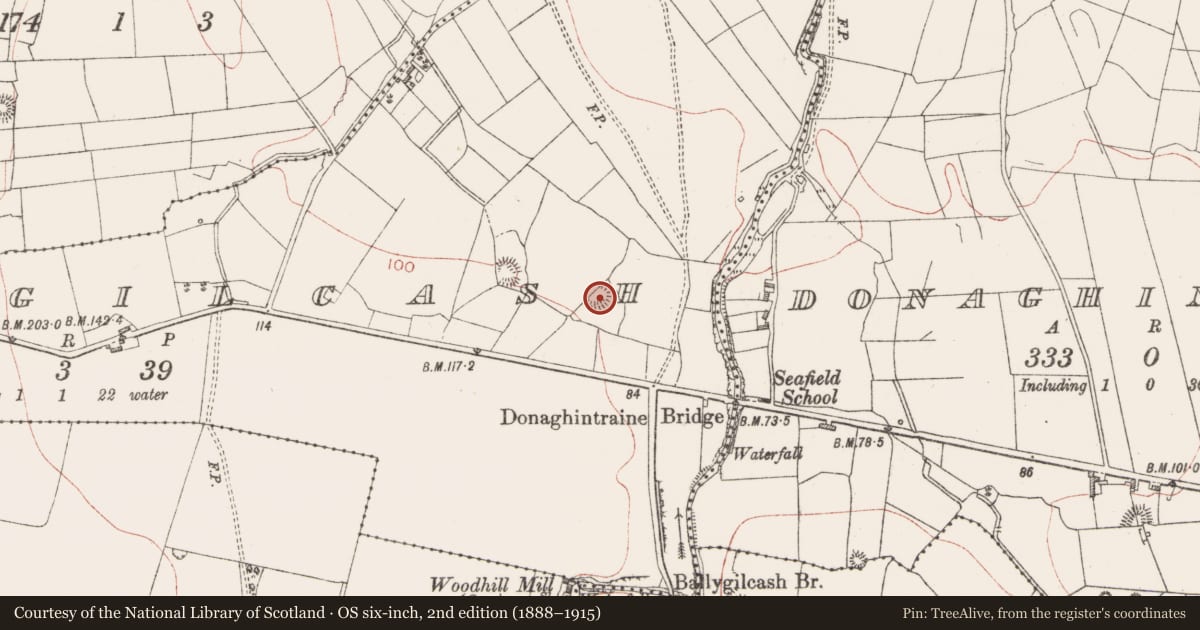 Ordnance Survey six-inch map, 2nd edition (1888–1915) covering the location of Ringfort - rath, Ballygilcash, County Sligo, with a pin at the register's coordinates