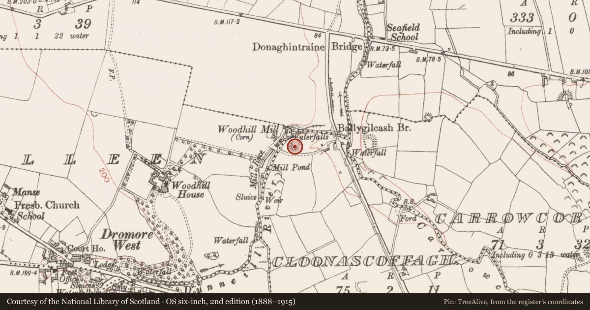 Ordnance Survey six-inch map, 2nd edition (1888–1915) covering the location of Ringfort - rath, Cloonascoffagh, County Sligo, with a pin at the register's coordinates