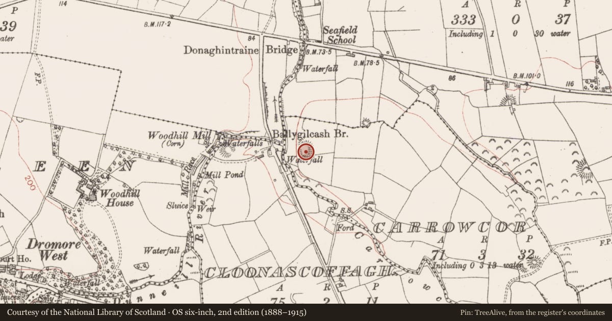 Ordnance Survey six-inch map, 2nd edition (1888–1915) covering the location of Ringfort - unclassified, Carrowcor, County Sligo, with a pin at the register's coordinates