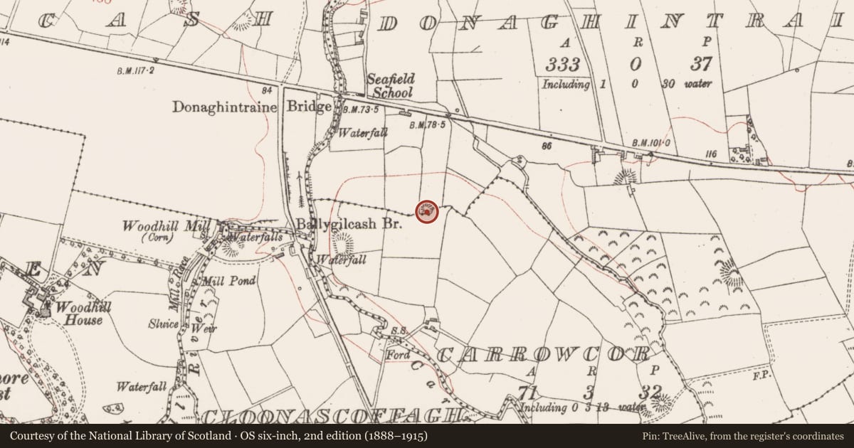 Ordnance Survey six-inch map, 2nd edition (1888–1915) covering the location of Ringfort - rath, Donaghintraine, County Sligo, with a pin at the register's coordinates